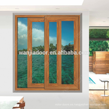 Puertas de vidrio corredizas de doble panel elegante